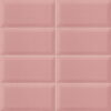 BISSEL-PINK-10×20-MAINZU